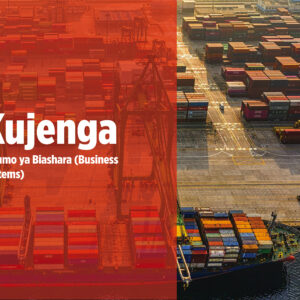 Kujenga Mifumo ya Biashara (Business Systems)