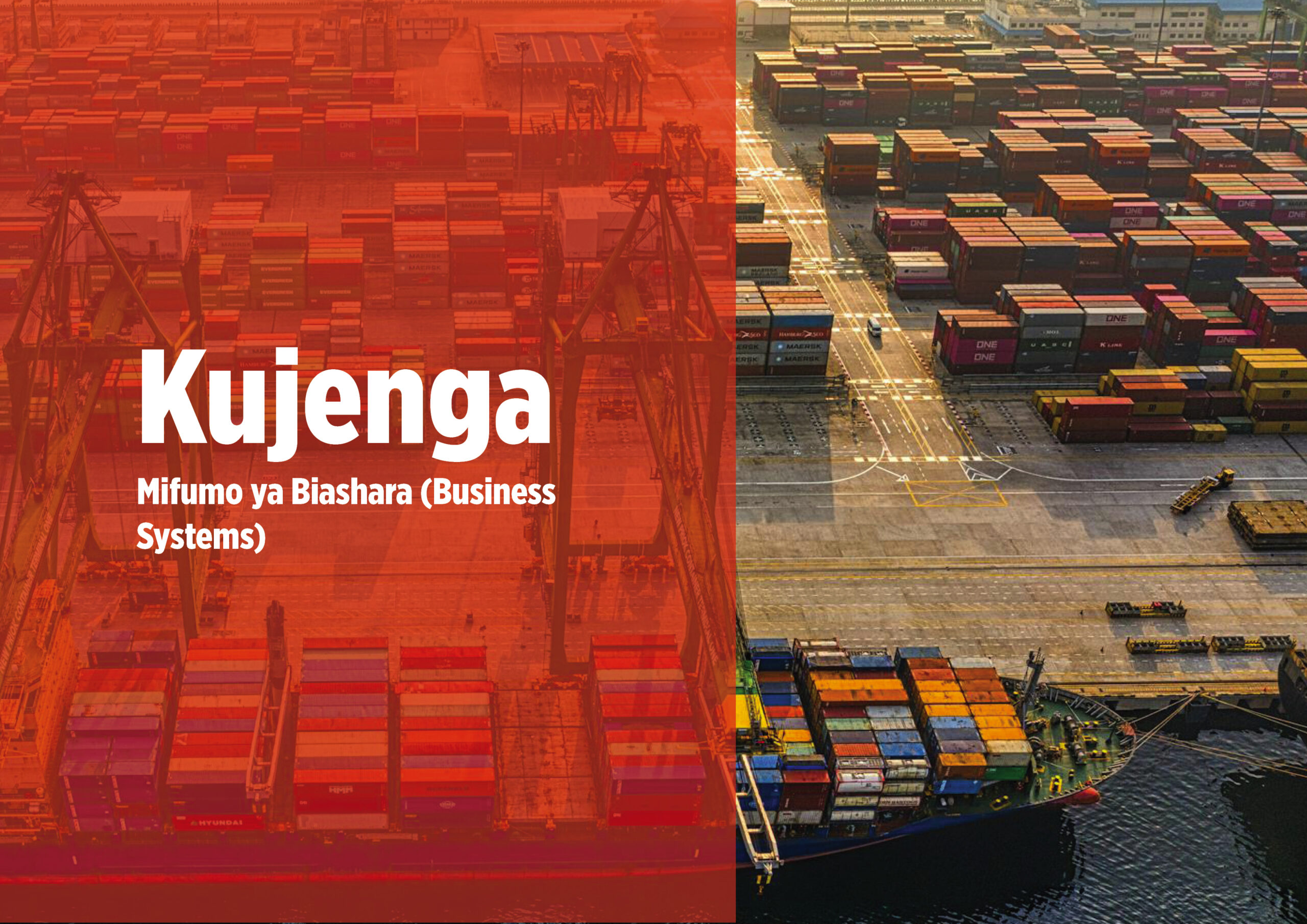 Kujenga Mifumo ya Biashara (Business Systems)